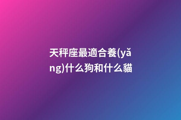 天秤座最適合養(yǎng)什么狗和什么貓-第1張-星座運(yùn)勢-玄機(jī)派