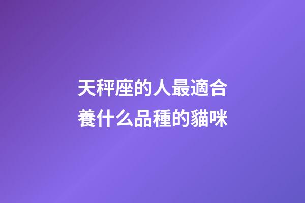 天秤座的人最適合養什么品種的貓咪-第1張-星座運勢-玄機派