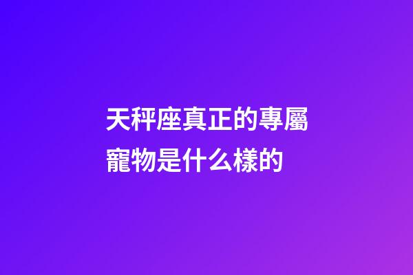 天秤座真正的專屬寵物是什么樣的