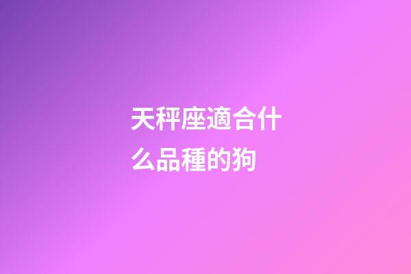 天秤座適合什么品種的狗-第1張-星座運勢-玄機派