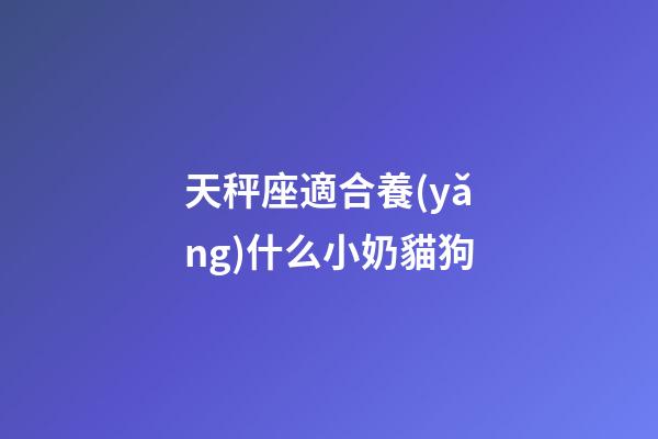 天秤座適合養(yǎng)什么小奶貓狗-第1張-星座運勢-玄機派