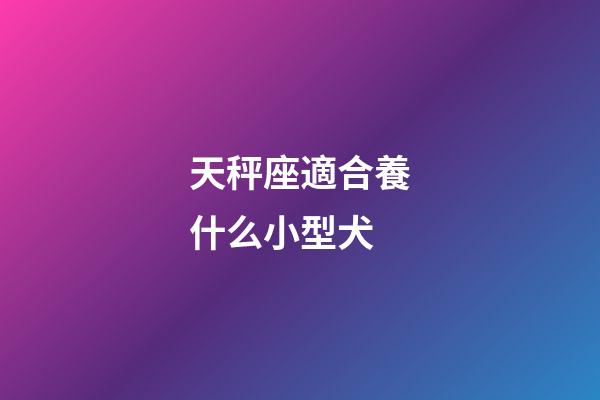 天秤座適合養什么小型犬-第1張-星座運勢-玄機派