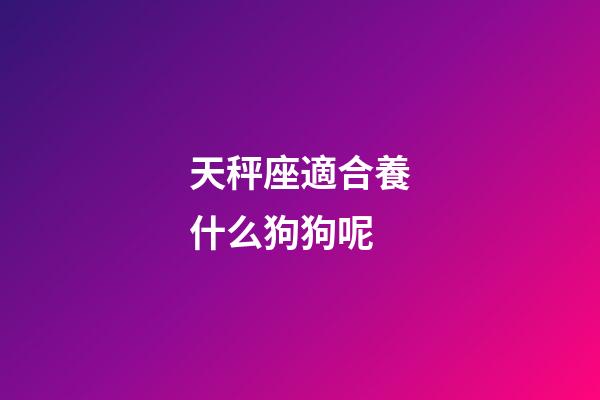 天秤座適合養什么狗狗呢-第1張-星座運勢-玄機派