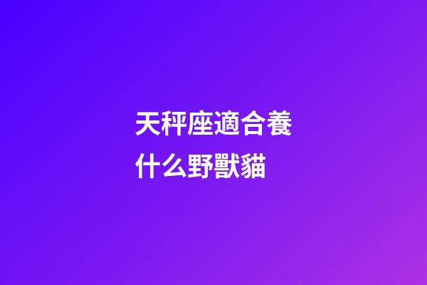 天秤座適合養什么野獸貓-第1張-星座運勢-玄機派