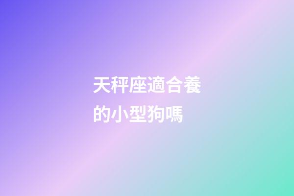 天秤座適合養的小型狗嗎-第1張-星座運勢-玄機派