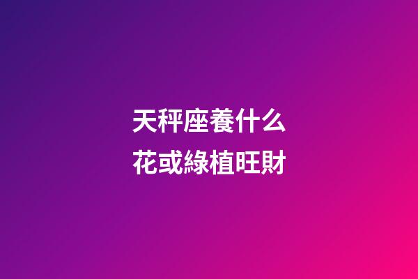 天秤座養什么花或綠植旺財
