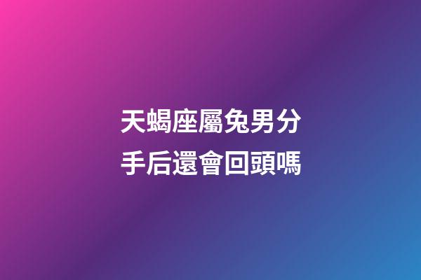 天蝎座屬兔男分手后還會回頭嗎-第1張-星座運勢-玄機派