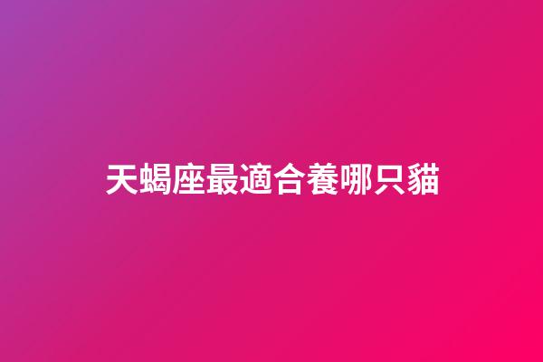 天蝎座最適合養哪只貓-第1張-星座運勢-玄機派