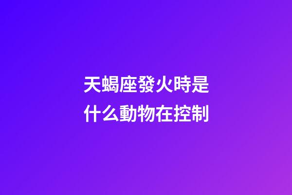 天蝎座發火時是什么動物在控制-第1張-星座運勢-玄機派