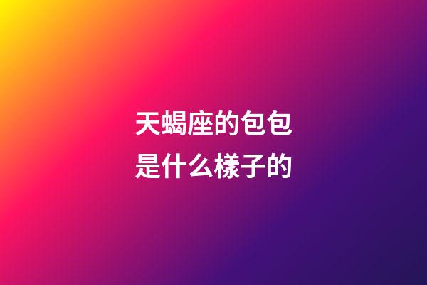 天蝎座的包包是什么樣子的-第1張-星座運勢-玄機派
