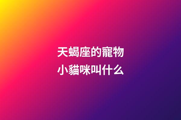 天蝎座的寵物小貓咪叫什么