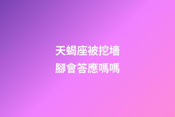 天蝎座被挖墻腳會答應嗎嗎