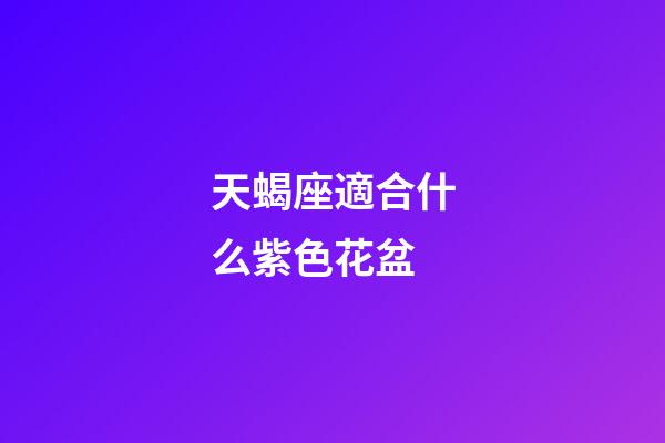天蝎座適合什么紫色花盆-第1張-星座運勢-玄機派