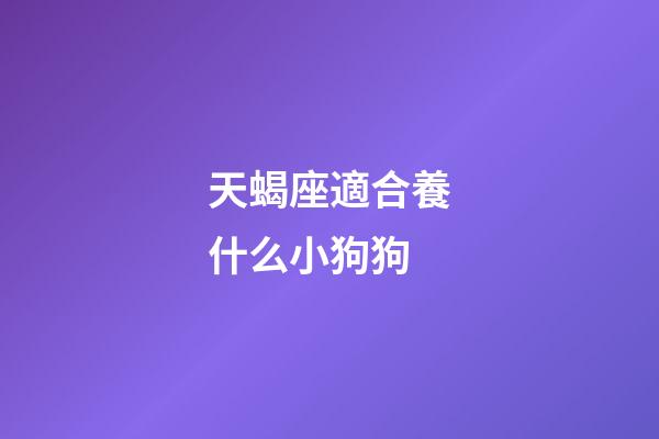 天蝎座適合養什么小狗狗-第1張-星座運勢-玄機派