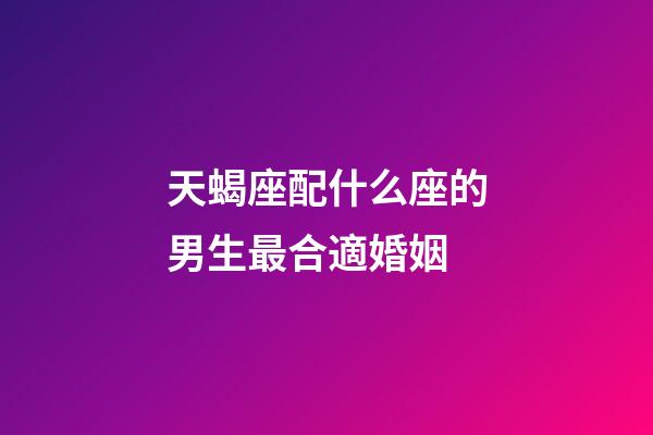 天蝎座配什么座的男生最合適婚姻-第1張-星座運勢-玄機派