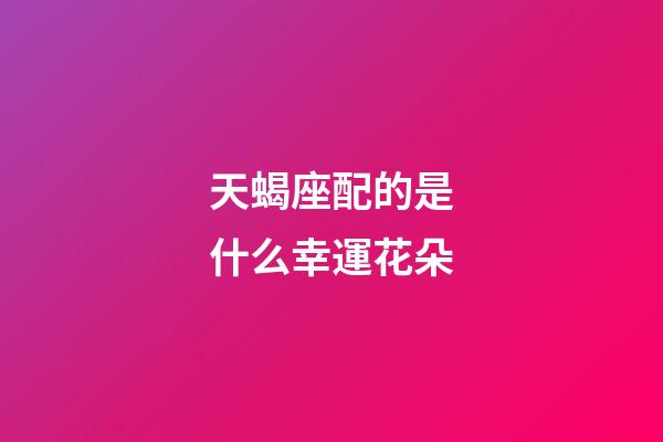 天蝎座配的是什么幸運花朵