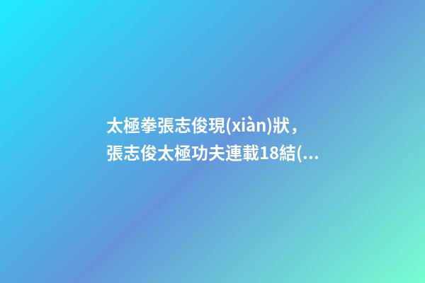 太極拳張志俊現(xiàn)狀，張志俊太極功夫連載18結(jié)緣太極