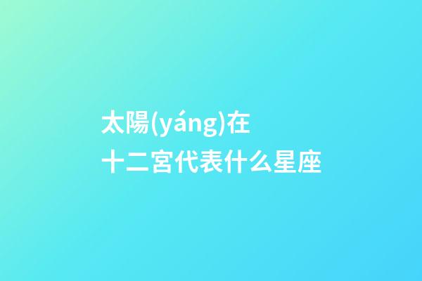 太陽(yáng)在十二宮代表什么星座-第1張-星座運(yùn)勢(shì)-玄機(jī)派