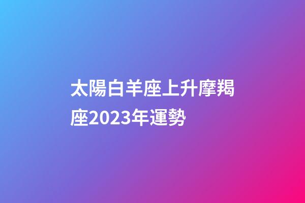 太陽白羊座上升摩羯座2023年運勢-第1張-星座運勢-玄機派
