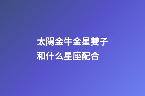 太陽金牛金星雙子和什么星座配合-第1張-星座運勢-玄機派