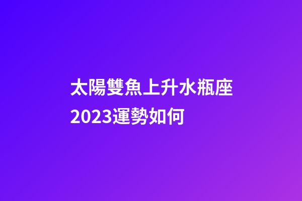 太陽雙魚上升水瓶座2023運勢如何-第1張-星座運勢-玄機派