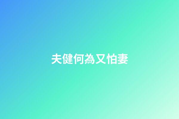 夫健何為又怕妻