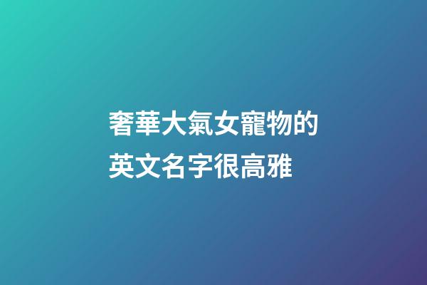 奢華大氣女寵物的英文名字很高雅