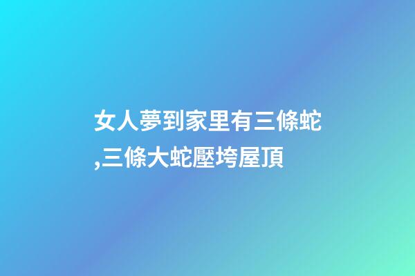 女人夢到家里有三條蛇,三條大蛇壓垮屋頂-第1張-觀點-玄機派