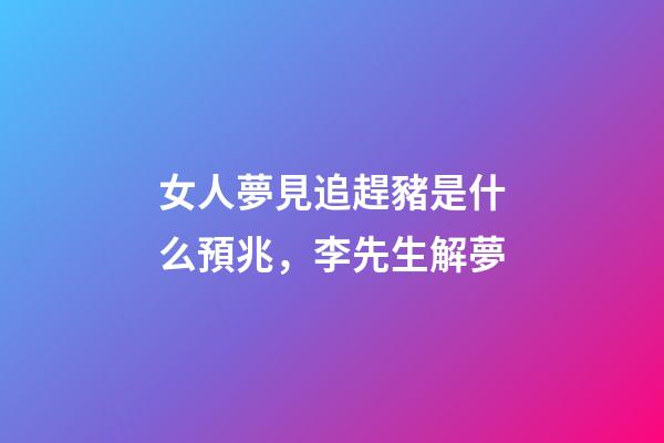 女人夢見追趕豬是什么預兆，李先生解夢-第1張-觀點-玄機派