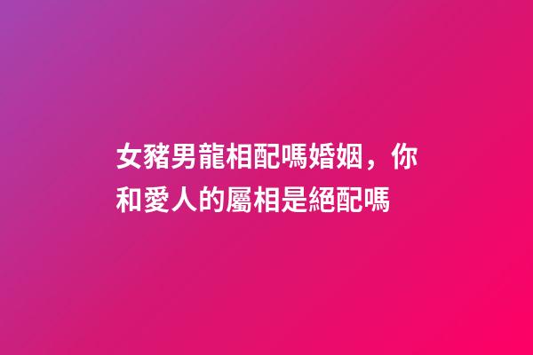 女豬男龍相配嗎婚姻，你和愛人的屬相是絕配嗎-第1張-觀點-玄機派