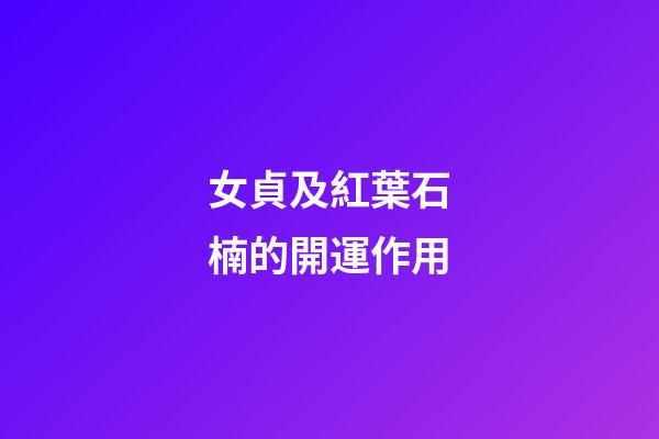女貞及紅葉石楠的開運作用