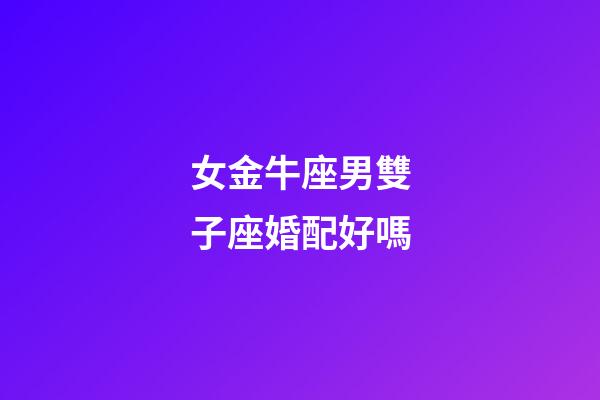 女金牛座男雙子座婚配好嗎-第1張-星座運勢-玄機派