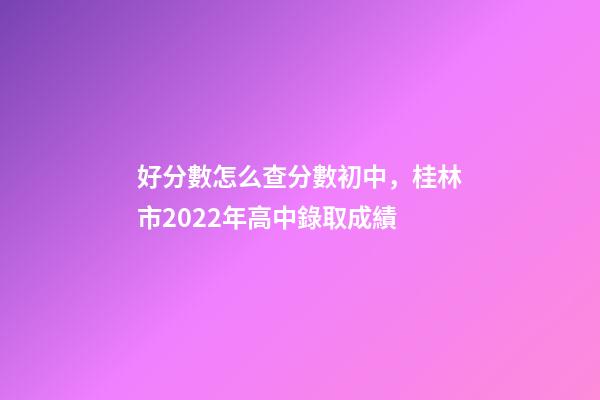 好分數怎么查分數初中，桂林市2022年高中錄取成績-第1張-觀點-玄機派