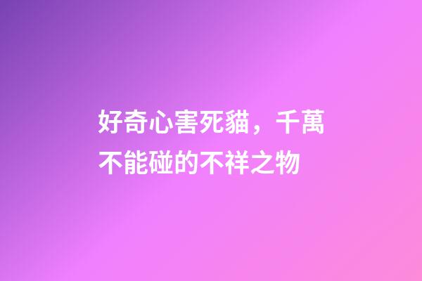 好奇心害死貓，千萬不能碰的不祥之物
