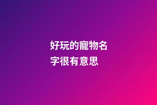好玩的寵物名字很有意思