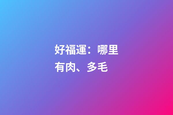 好福運：哪里有肉、多毛