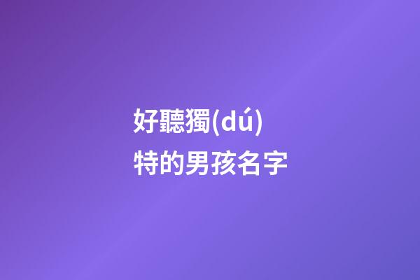 好聽獨(dú)特的男孩名字(特別又好聽的男孩名字)-第1張-男孩起名-玄機(jī)派