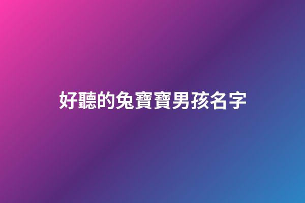 好聽的兔寶寶男孩名字(兔男寶寶名字大全2011)-第1張-男孩起名-玄機派