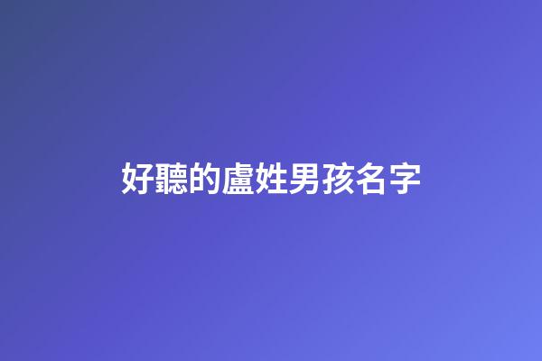 好聽的盧姓男孩名字(姓盧的男孩名字洋氣得有意義)-第1張-男孩起名-玄機派