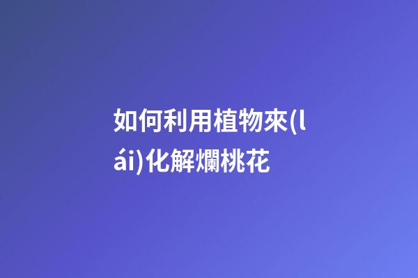 如何利用植物來(lái)化解爛桃花