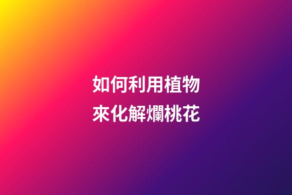 如何利用植物來化解爛桃花
