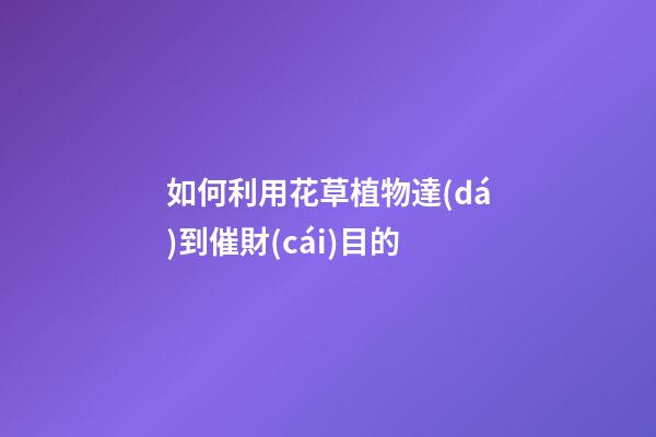 如何利用花草植物達(dá)到催財(cái)目的
