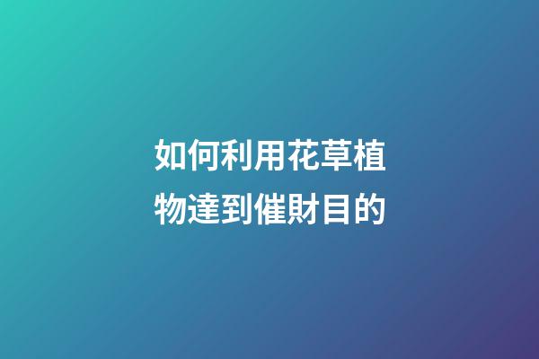 如何利用花草植物達到催財目的