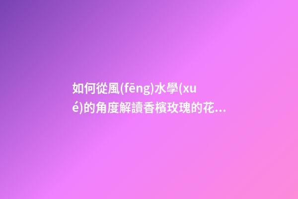 如何從風(fēng)水學(xué)的角度解讀香檳玫瑰的花語(yǔ)？（香檳玫瑰的花語(yǔ)和象征）