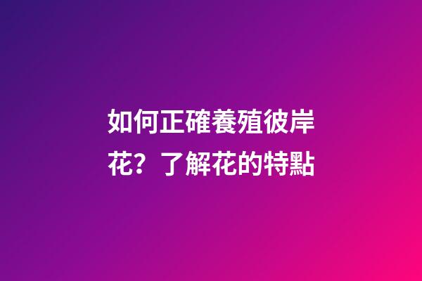如何正確養殖彼岸花？了解花的特點