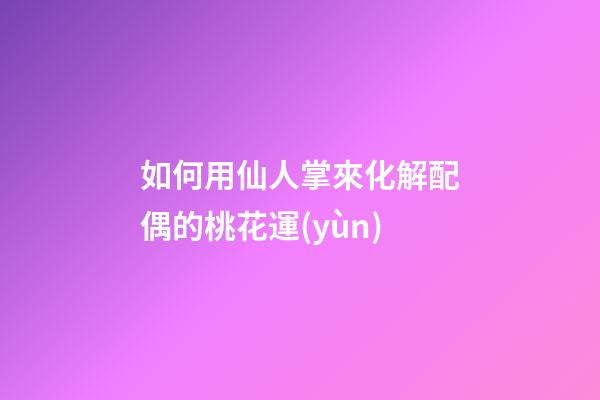 如何用仙人掌來化解配偶的桃花運(yùn)