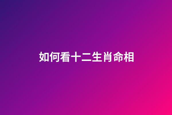 如何看十二生肖命相