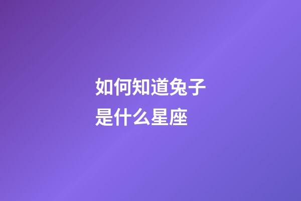 如何知道兔子是什么星座-第1張-星座運勢-玄機派