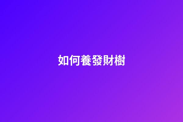 如何養發財樹