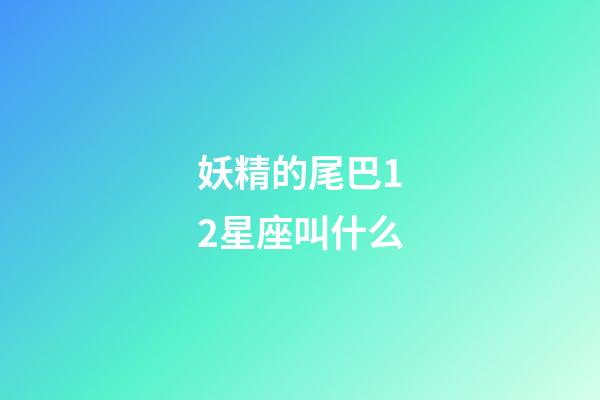 妖精的尾巴12星座叫什么